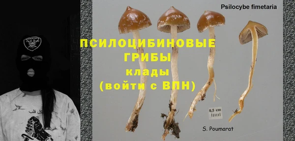 ешки Нефтекумск