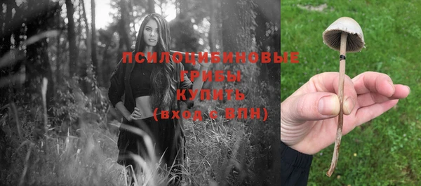 ешки Нефтекумск