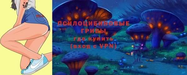эйфоретик Нея